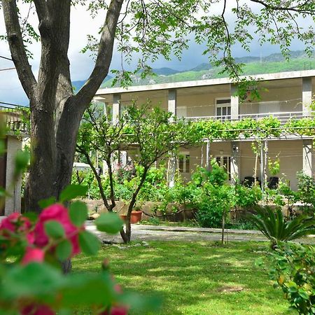 Apartmani Mihovic - Jaz Budva Exterior foto